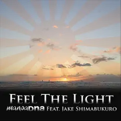 Feel the Light (feat. Jake Shimabukuro) - Single by Manoa DNA album reviews, ratings, credits