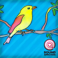 Crow-Bird Call Song (Sound Effect) Song Lyrics