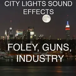 Guns 22 Caliber Rifle One Shot Sound Effects Sound Effect Sounds EFX SFX FX Guns and Weapons Rifles Song Lyrics