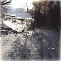 The Eighth Nerve by Edmund Mooney album reviews, ratings, credits