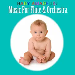 Baby Amadeus: Music for Flute & Orchestra by Lithuanian Chamber Orchestra, Saulius Sondeckis & Valentinas Gelgotas album reviews, ratings, credits