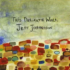 This Delicate Wall by Jeff Johansson album reviews, ratings, credits