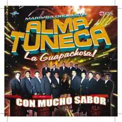 Sabor Latino by Marimba Orquesta Alma Tuneca album reviews, ratings, credits