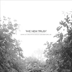 Dark Is The Path Which Lies Before Us by The New Trust album reviews, ratings, credits