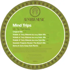 Mr Tie (Waltek & Tony Maione Aka Amp Main Mix) Song Lyrics