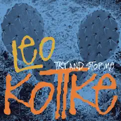Try and Stop Me by Leo Kottke album reviews, ratings, credits