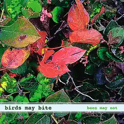 Bees May Not by Birds may bite album reviews, ratings, credits