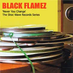 Never You Change (Remastered) - Single by Black Flamez album reviews, ratings, credits