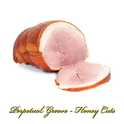 Honey Cuts - Single by Perpetual Groove album reviews, ratings, credits