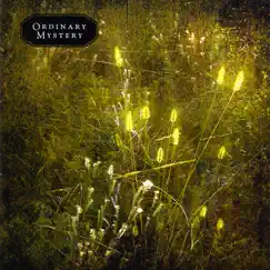 Ordinary Mystery by Geoff Oelsner album reviews, ratings, credits