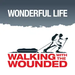 Wonderful Life - Single by Walking With the Wounded album reviews, ratings, credits