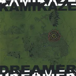 Kamikaze Dreamer (introduction) Song Lyrics