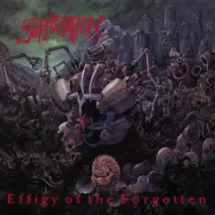 Effigy of the Forgotten by Suffocation album reviews, ratings, credits