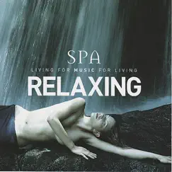 Spa: Relaxing by Global Journey album reviews, ratings, credits