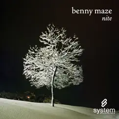 Nite - Single by Benny Maze album reviews, ratings, credits