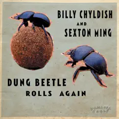 Dung Beetle Rolls Again by Billy Childish & Sexton Ming album reviews, ratings, credits