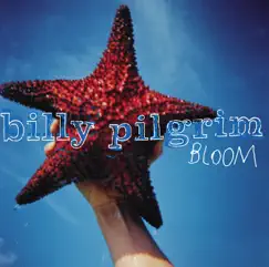 Bloom by Billy Pilgrim album reviews, ratings, credits