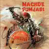 Nachde Punjabi album lyrics, reviews, download