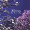 Blossom album lyrics, reviews, download