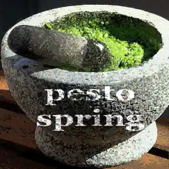 Pesto Springtime (Blood Groove & Kikis Dub Deep House Mix) Song Lyrics