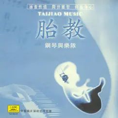 Music for Pregnant Women by South China Music Troupe album reviews, ratings, credits