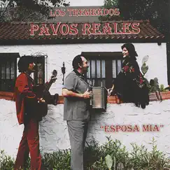 Las Gaviotas Song Lyrics