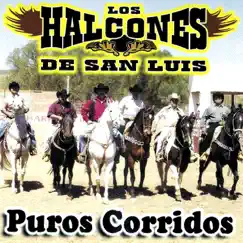 Puros Corridos by Los Halcones de San Luis album reviews, ratings, credits