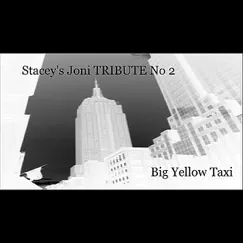 Big Yellow Taxi Song Lyrics