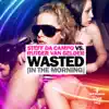 Wasted (In The Morning) [Radio Edit] song lyrics