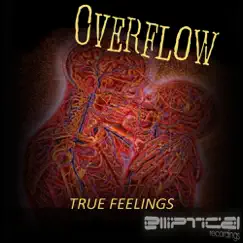 True Feelings by Overflow album reviews, ratings, credits