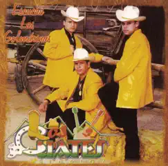 Escuché las Golondrinas by Los Cuates de Sinaloa album reviews, ratings, credits