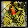 Pontetial (Remix) [feat. Weasel & Radio] song lyrics