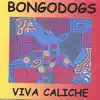 Viva Caliche album lyrics, reviews, download