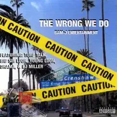 The Wrong We Do by Bam-J Entertainment album reviews, ratings, credits