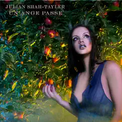 Un Ange Passe by Julian Shah-Tayler album reviews, ratings, credits