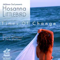 Times of Change by Hosanna Littlebird album reviews, ratings, credits