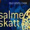 Salmeskatt album lyrics, reviews, download