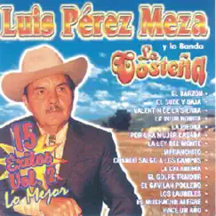 Lo Mejor 15 Exitos, Vol. 2 by Luis Pérez Meza album reviews, ratings, credits