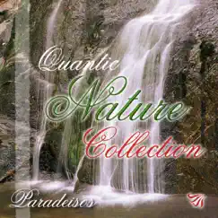 Paradeisos - Nature Collection by Alain Lemay album reviews, ratings, credits