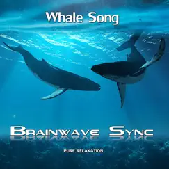 Whale Song - With Music and Sounds of the Ocean - Alpha Brainwave Entrainment by Brainwave-Sync album reviews, ratings, credits