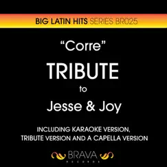 Corre In the Style of Jesse & Joy (Karaoke Version) Song Lyrics