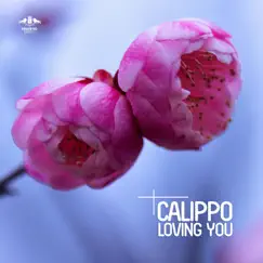 Loving You - EP by Calippo album reviews, ratings, credits