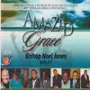 Amazed by Grace (feat. Apostolic Church of God) - Single album lyrics, reviews, download