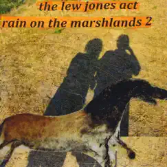 Rain On the Marshlands 2 by Lew Jones Act album reviews, ratings, credits