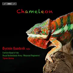 Chameleon Song Lyrics