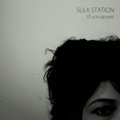 Till You Appear by Sulk Station album reviews, ratings, credits