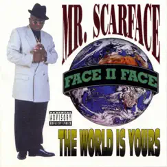 Mr Scarface, Pt. 3: The Final Chapter Song Lyrics
