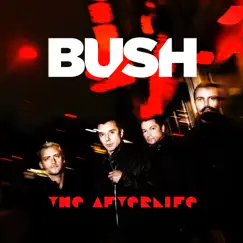 The Afterlife - Single by Bush album reviews, ratings, credits