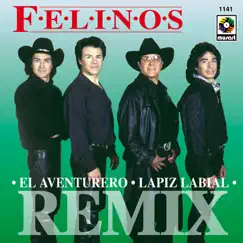 El Aventurero (Yo el Aventurero Remix) Song Lyrics