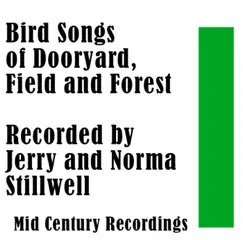 Purple Martin / Summer Tanager / Robin / Bluebird / Wood Thrush Song Lyrics